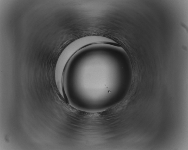 X0000101990576200807181150