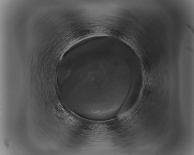 X0000101990577200807181150