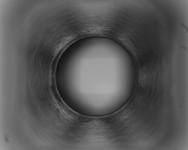 X0000101990578200807181150