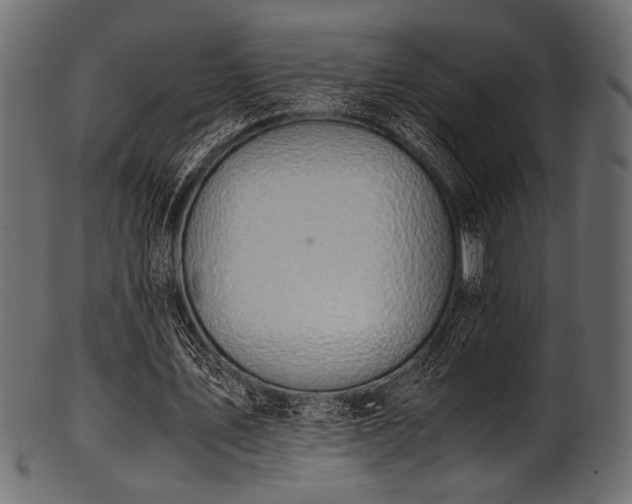 X0000101990579200807181150
