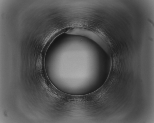 X0000101990580200807181150