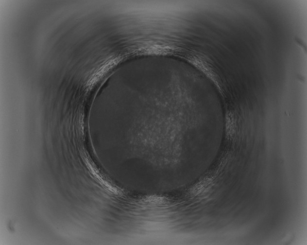 X0000101990581200807181150
