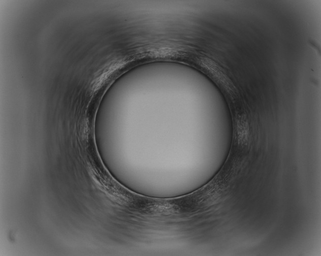 X0000101990583200807181150