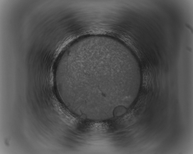 X0000101990584200807181150