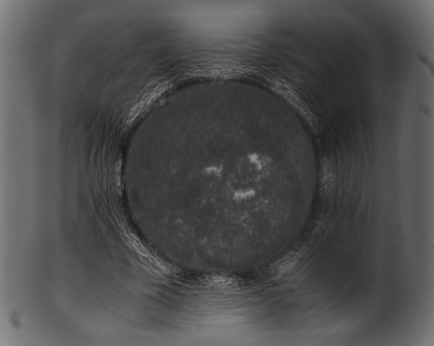 X0000101990585200807181150
