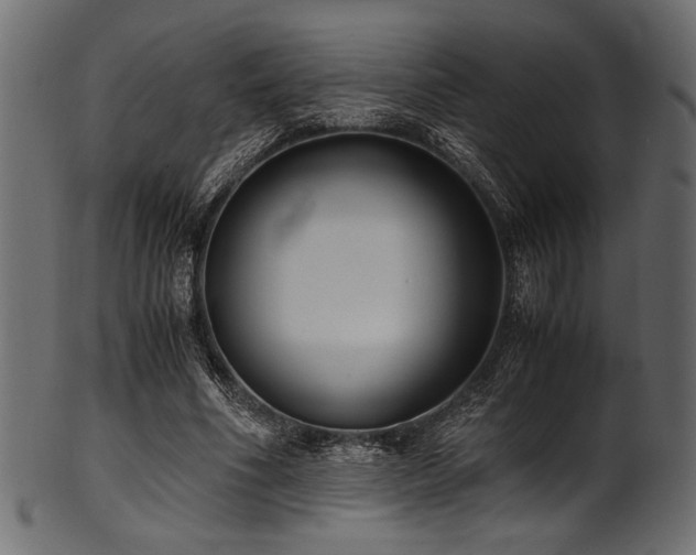 X0000101990586200807181150