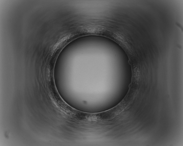 X0000101990587200807181150