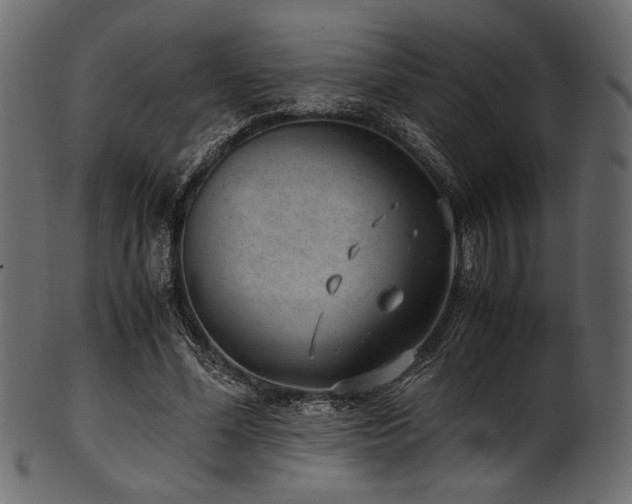 X0000101990588200807181150