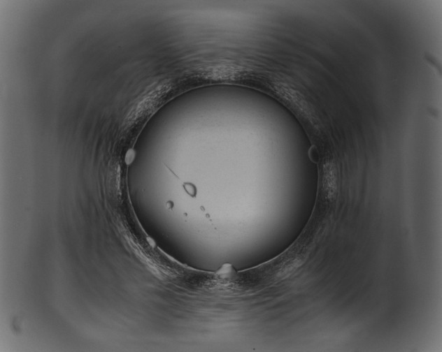 X0000101990589200807181150