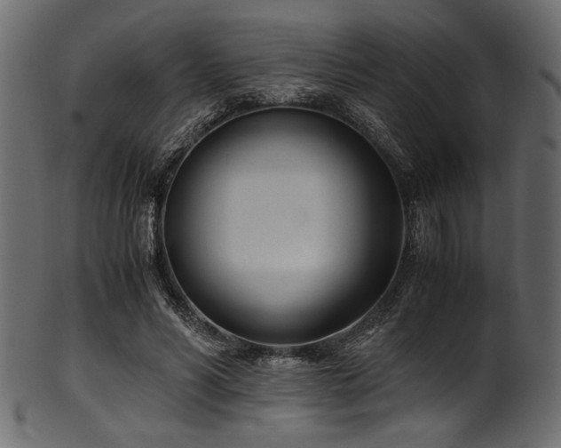 X0000101990590200807181150