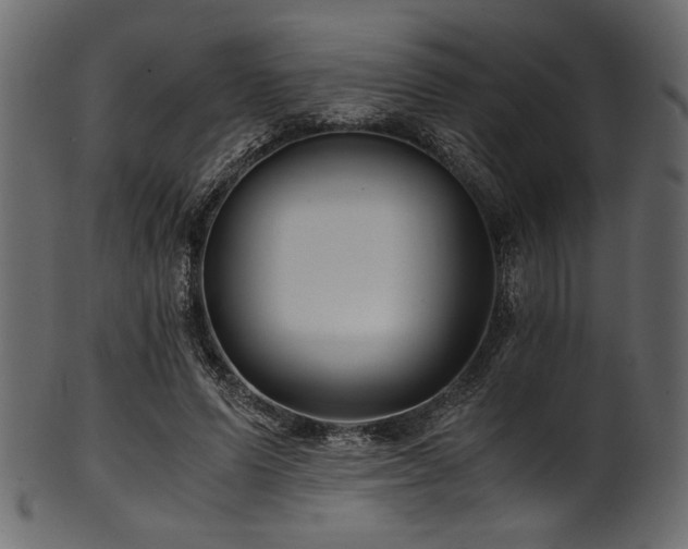 X0000101990591200807181150