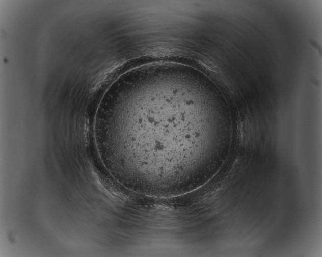 X0000101990592200807181150