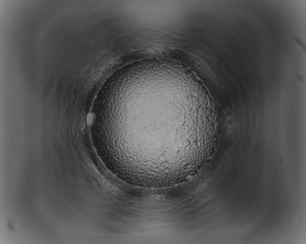 X0000101990593200807181150
