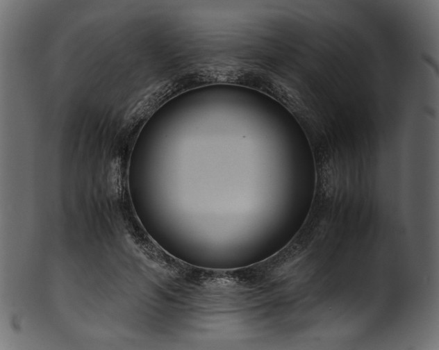 X0000101990594200807181150