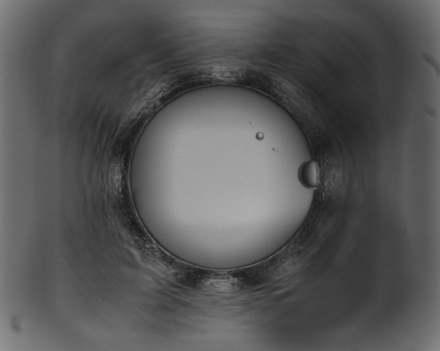 X0000101990595200807181150