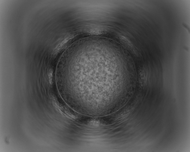 X0000101990596200807181150