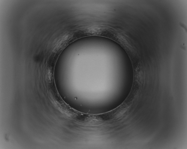 X0000101990597200807181150