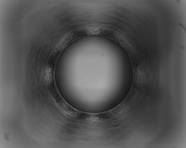 X0000101990598200807181150