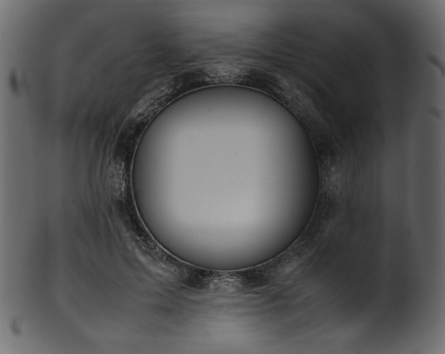 X0000101990599200807181150