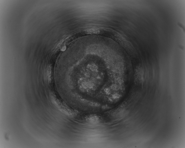 X0000101990600200807181150