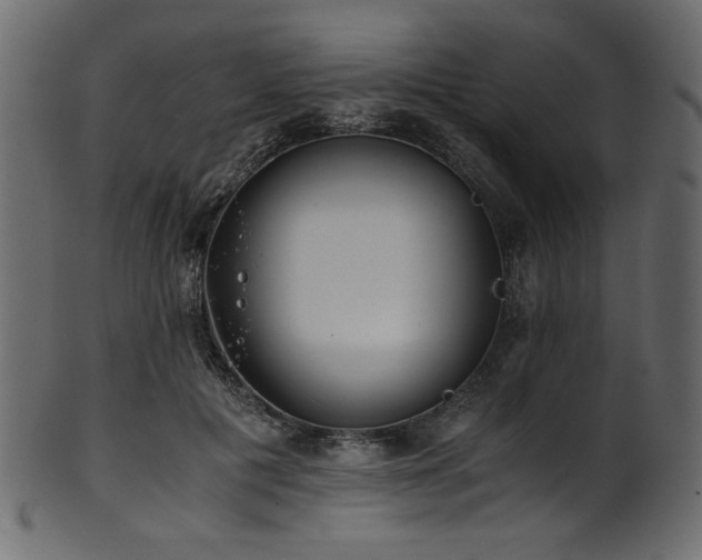 X0000101990601200807181149
