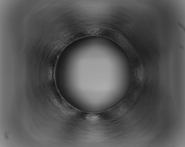 X0000101990602200807181149