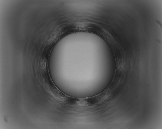 X0000101990603200807181149