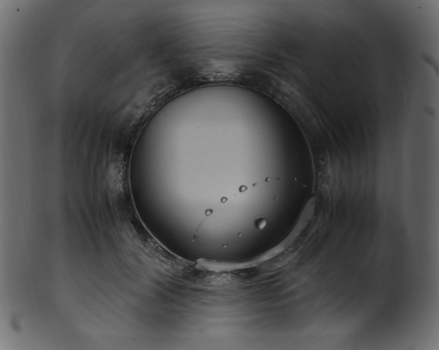 X0000101990604200807181149