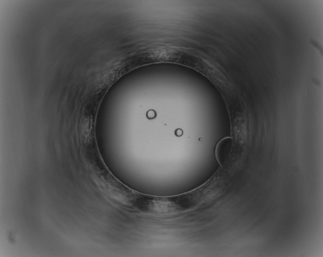 X0000101990605200807181149