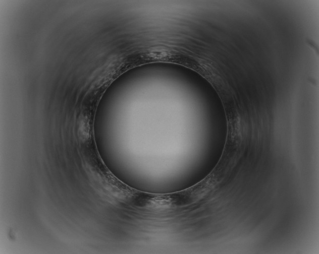X0000101990606200807181149
