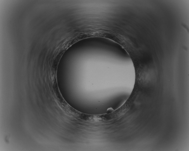 X0000101990607200807181149