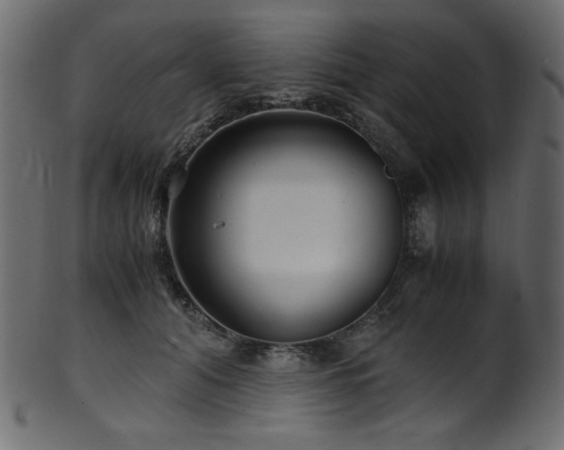 X0000101990608200807181149