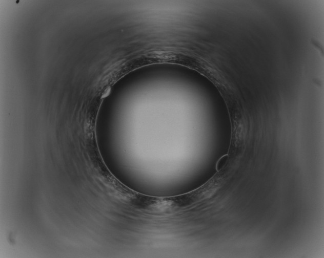 X0000101990609200807181149