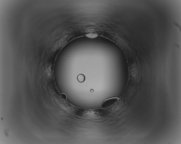X0000101990611200807181149