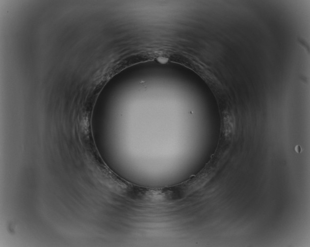 X0000101990613200807181149