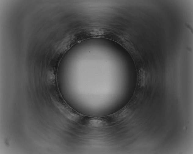 X0000101990614200807181149