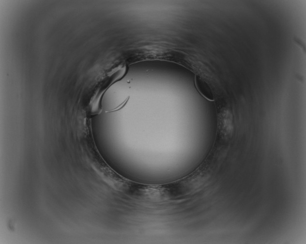 X0000101990615200807181149