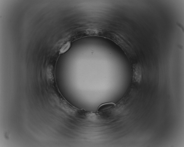 X0000101990616200807181149