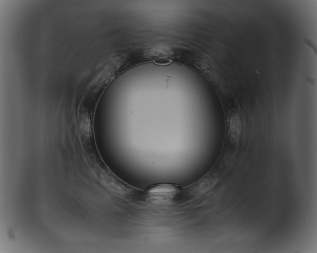 X0000101990617200807181149