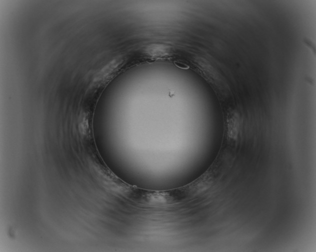 X0000101990618200807181149