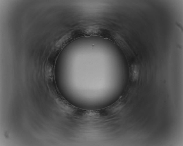 X0000101990619200807181149