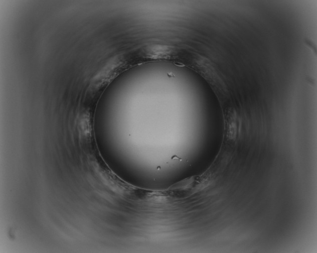 X0000101990620200807181149