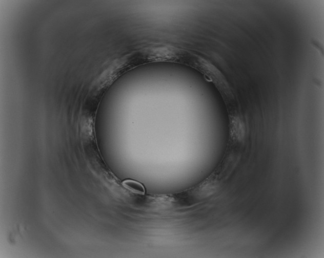 X0000101990621200807181149