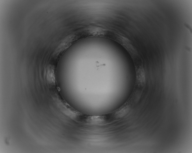X0000101990622200807181149