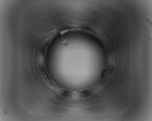 X0000101990623200807181149