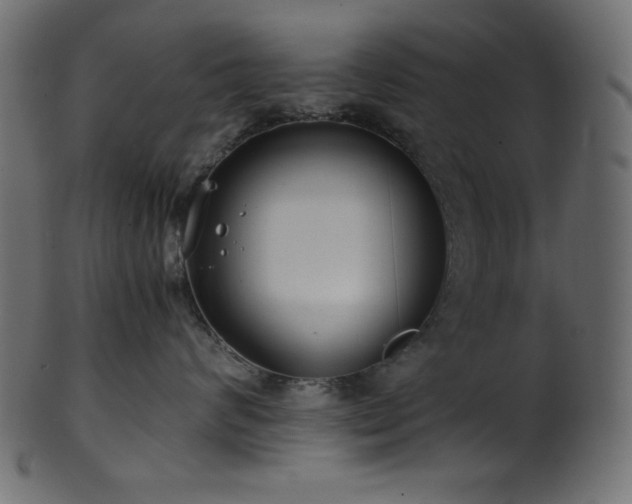 X0000101990624200807181149