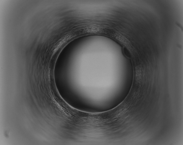 X0000101990626200807181149