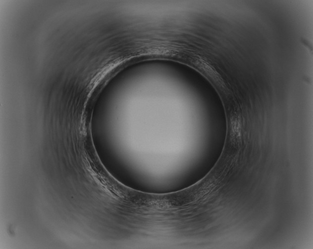 X0000101990628200807181149