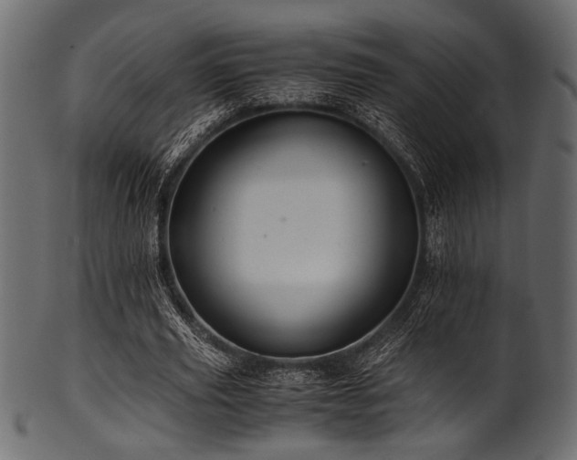 X0000101990629200807181149