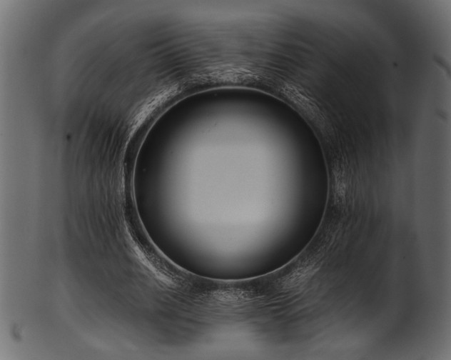 X0000101990630200807181149